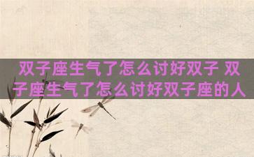 双子座生气了怎么讨好双子 双子座生气了怎么讨好双子座的人